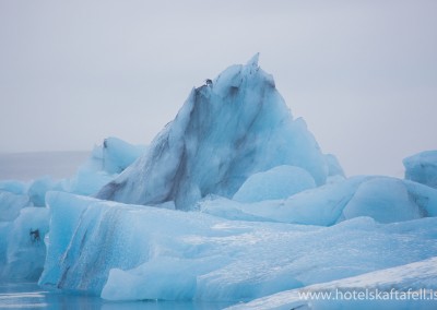 Glacier Lagoon Iceland