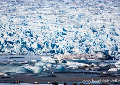 Glacier Lagoon Iceland
