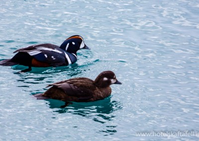 Glacier Lagoon Iceland