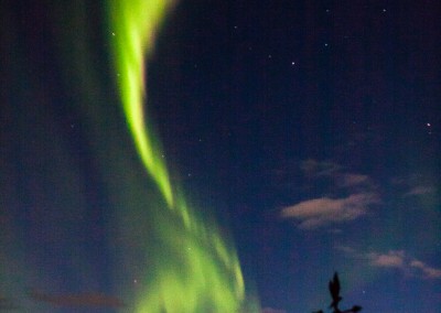 Northern Lights Iceland