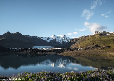 Svínafellsjökull